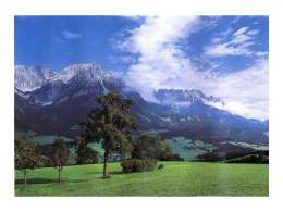 фотообои 294х201см Альпийский луг #79, арт.294U