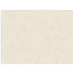 обои AS CREATION виниловые на флизелиновой основе 10,05х1,06м, арт.38732-8