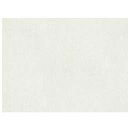 обои AS CREATION виниловые на флизелиновой основе 10,05х1,06м, арт.38868-4