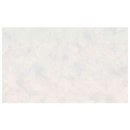 обои АРТЕКС виниловые на флизелиновой основе 10,05х1,06м, арт. 10725-03