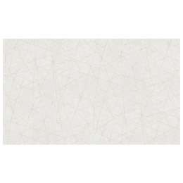 обои AS CREATION виниловые на флизелиновой основе 10,05х1,06м, арт.39219-1