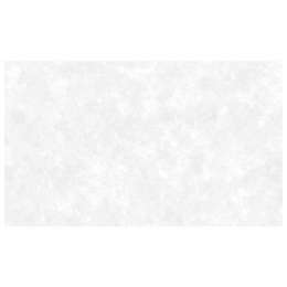 обои АРТЕКС виниловые на флизелиновой основе 10,05х1,06м, арт.10953-01