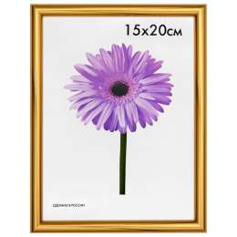 фоторамка MARIA 150х200мм золото  пластик