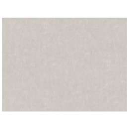 обои AS CREATION виниловые на флизелиновой основе 10,05х1,06м, арт.38486-3