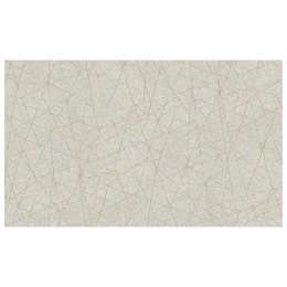 обои AS CREATION виниловые на флизелиновой основе 10,05х1,06м, арт.39219-3