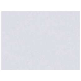 обои AS CREATION виниловые на флизелиновой основе 10,05х1,06м, арт.38501-1