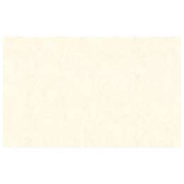 обои АРТЕКС виниловые на флизелиновой основе 10,05х1,06м, арт.10837-09