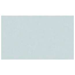 обои ERISMANN виниловые на флизелиновой основе 10,05х1,06м, арт.60625-10