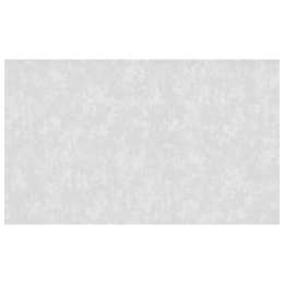 обои Артекс виниловые на флизелиновой основе 10,05х1,06м, арт. 10905-04