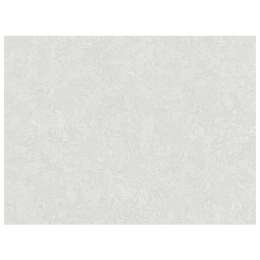 обои АСПЕКТ Deluxe виниловые на флизелиновой основе 10,05х1,06м, арт.70538-42