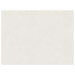 обои AS CREATION виниловые на флизелиновой основе 10,05х1,06м, арт.38485-2