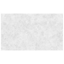 обои АРТЕКС виниловые на флизелиновой основе 10,05х1,06м, арт.10953-03