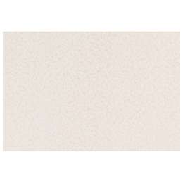 обои VILIA п/окраску виниловые на флизелиновой основе 120 г/м2 10х1,06м, арт.Ф6-10-1000-61