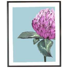 набор постеров 390х490мм В РОЗОВОМ ЦВЕТЕ