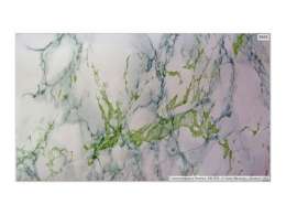 пленка самокл.Deluxe 45 см х 8м бело-зеленый мрамор, арт.3965-j