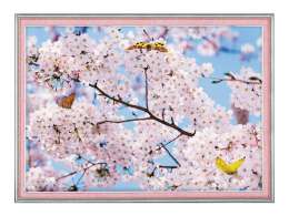 фотообои 134х98см Картина сакура #51, арт.134кс