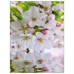 фотообои 196х260см Яблоневый цвет, арт.239